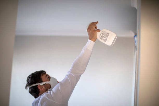 Best Mold Remediation for Schools in Chula Vista, TX