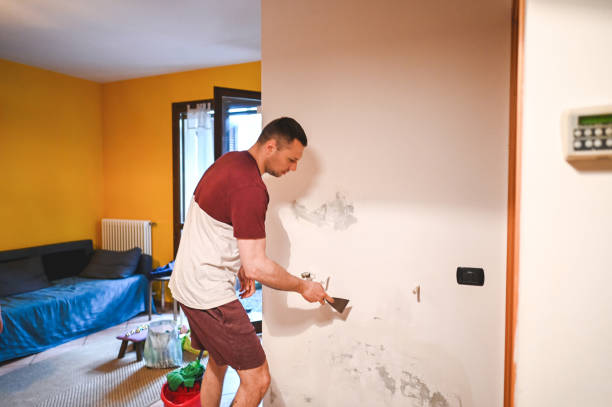 Best Attic Mold Remediation in Chula Vista, TX